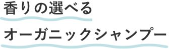 香りの選べるオーガニックシャンプー