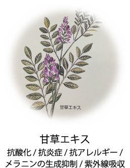 天草エキス|抗酸化/抗炎症/抗アレルギー/メラニンの生成抑制/紫外線吸収